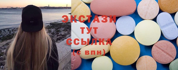 гидра Вязьма