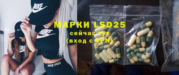 гидра Вязьма