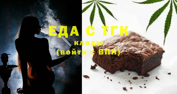 гидра Вязьма