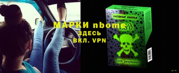 гидра Вязьма