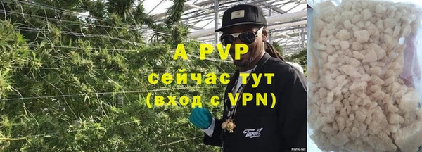 гидра Вязьма