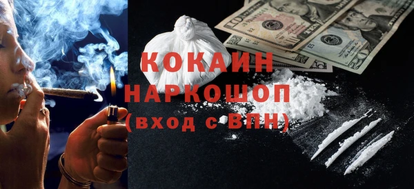 гидра Вязьма