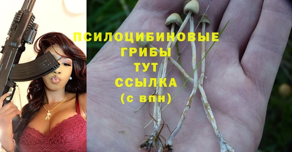 амф Вязники